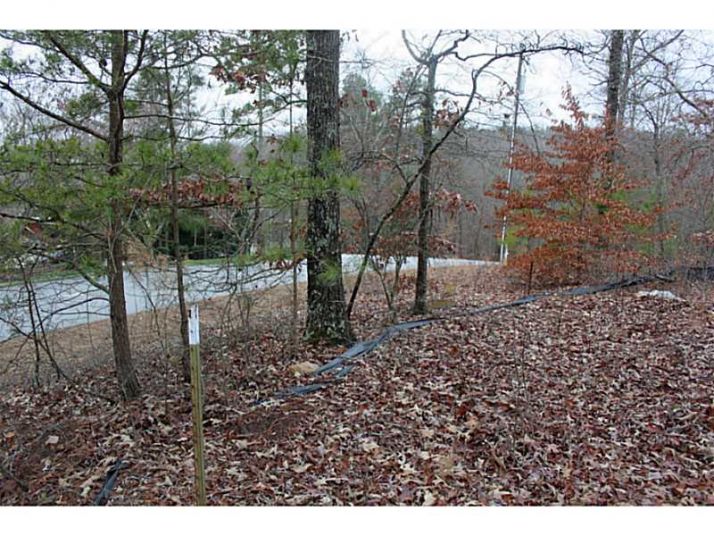 0 Page Place, Canton, GA 30114