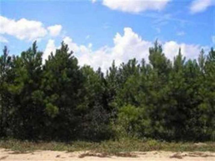 0 Pope Church Road, Pineview, GA 31071