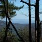77 Summit Pass, Chatsworth, GA 30705 ID:6930375