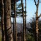77 Summit Pass, Chatsworth, GA 30705 ID:6930378