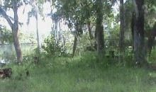 1959 SE CR 317. Old Town, FL 32680
