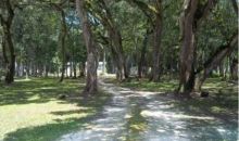 357 NE 434th Street Old Town, FL 32680