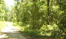 NE 542nd Street Old Town, FL 32680