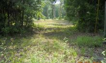 234 NE 644 Street Old Town, FL 32680