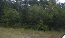 NE Hwy. 351 Old Town, FL 32680