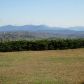 388 Mountain Drive, Dahlonega, GA 30533 ID:6925004