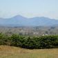 388 Mountain Drive, Dahlonega, GA 30533 ID:6925007