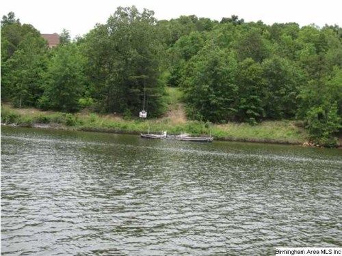 CLEAR CREEK DR 5, Alpine, AL 35014