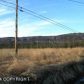 4833 Kachemak Drive, Homer, AK 99603 ID:6968360