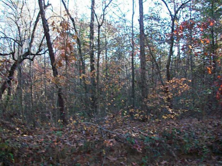 10 Whelchel Mill Road, Gainesville, GA 30506