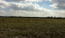 8013 HWY 75 N Madisonville, TX 77864