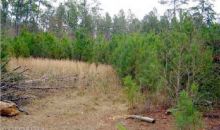 0 Green Morgan School Rd Clyo, GA 31303