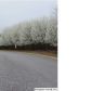200 Nottingham Drive, Calera, AL 35040 ID:6946777