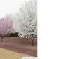 200 Nottingham Drive, Calera, AL 35040 ID:6946778