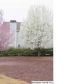 200 Nottingham Drive, Calera, AL 35040 ID:6946779