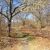 187 Harding Ter Dedham, MA 02026