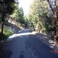 24571   Horst Drive, Crestline, CA 92325 ID:6733431