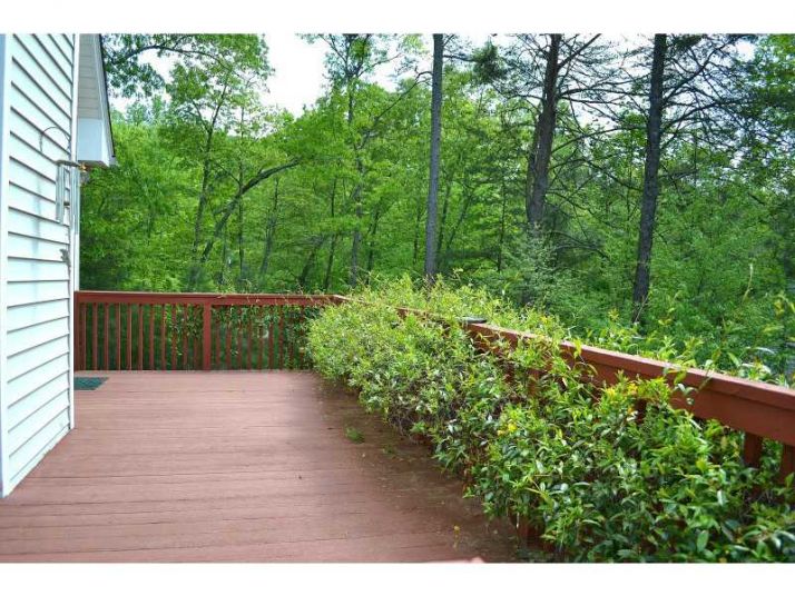 114 Myrtle Court, Waleska, GA 30183