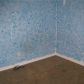 12414 N 58th St Apt 59, Tampa, FL 33617 ID:654037