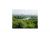 222 Beaver Cove Road Turtletown, TN 37391
