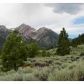 11950 Twin Lakes Road, Bridgeport, CA 93517 ID:1140344