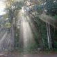 -Lot 19 Sweet Pea Lane, Camano Island, WA 98282 ID:6823344