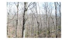 3488 Wilderness Parkway Greensboro, GA 30642