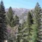 275 S. Patterson, Bridgeport, CA 93517 ID:1140296