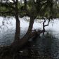 810 NE 935 St, Old Town, FL 32680 ID:4000662