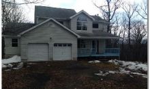 158 Hummingbird Trl Bushkill, PA 18324