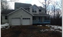 158 Hummingbird Trl Bushkill, PA 18324