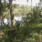1959 SE CR 317., Old Town, FL 32680 ID:4000643