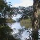1959 SE CR 317., Old Town, FL 32680 ID:4000646
