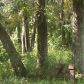 1959 SE CR 317., Old Town, FL 32680 ID:4000647
