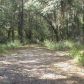 1959 SE CR 317., Old Town, FL 32680 ID:4000649