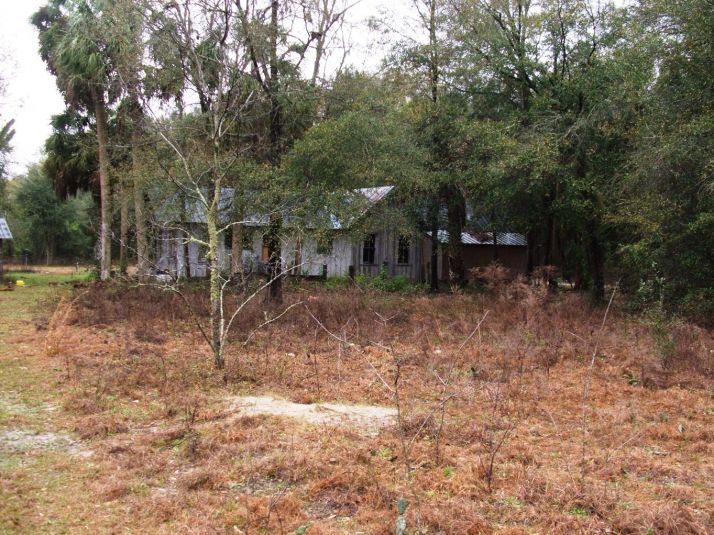 228 NE 867 St, Old Town, FL 32680