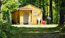 858 Mandilk Fairview, MI 48621