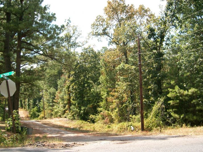 1.47 acres Spring st, Texarkana, AR 71854