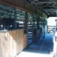 6079 NE CR 349, Old Town, FL 32680 ID:4000678