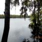 416 SE 922nd St, Old Town, FL 32680 ID:3423729