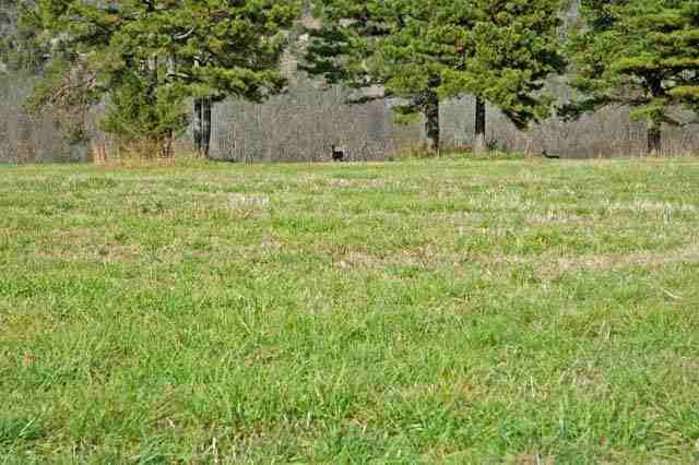 405 Cr 101, Norfork, AR 72658