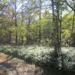553 Acklin Gap, Conway, AR 72032 ID:1510677