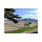 Sasia, lot 4, Tehachapi, CA 93561 ID:1675740