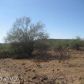 444xx N 18th Street, New River, AZ 85087 ID:2800551