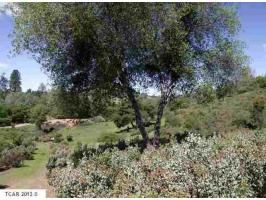 23 Lot Twist Rd., Jamestown, CA 95327