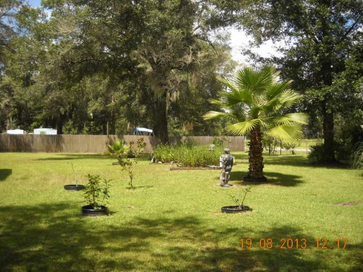 906 NE 516 Avenue, Old Town, FL 32680
