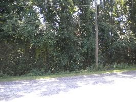 107 Greenwood Dr Lot#113, Daphne, AL 36526