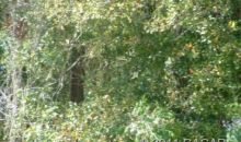 113 NW 145th Terrace Newberry, FL 32669