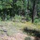 Lot 24 Starlight Ridge, Show Low, AZ 85901 ID:1318620
