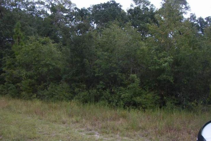 NE Hwy. 351, Old Town, FL 32680
